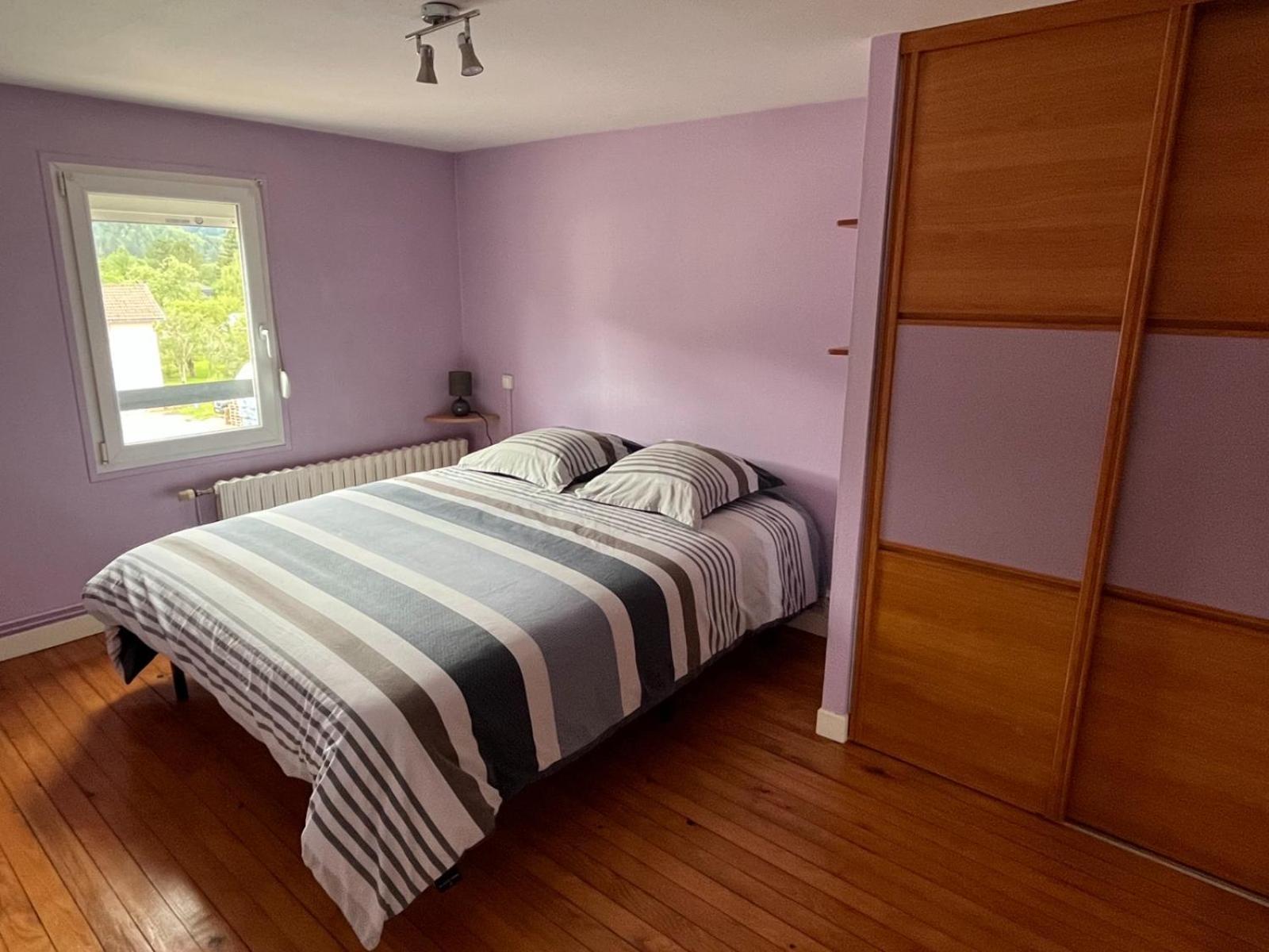 Gite 205 M2, 8Pers Piscine, Jacuzzi, Balneo Privatifs Vagney Eksteriør billede